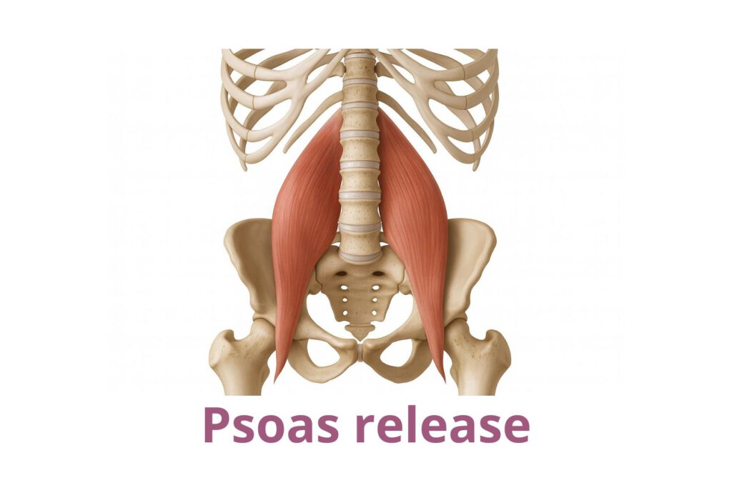 psoas cirkel voor ontspanning en herstel