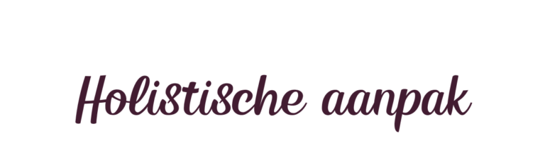 Holistische aanpak